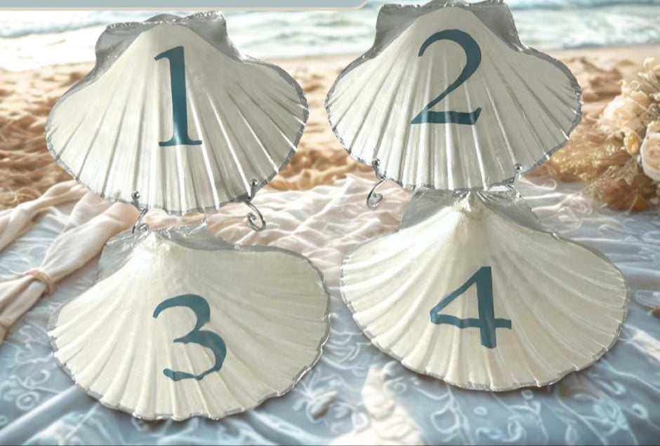 Scallop Shell Custom Wedding Table Numbers or Signs