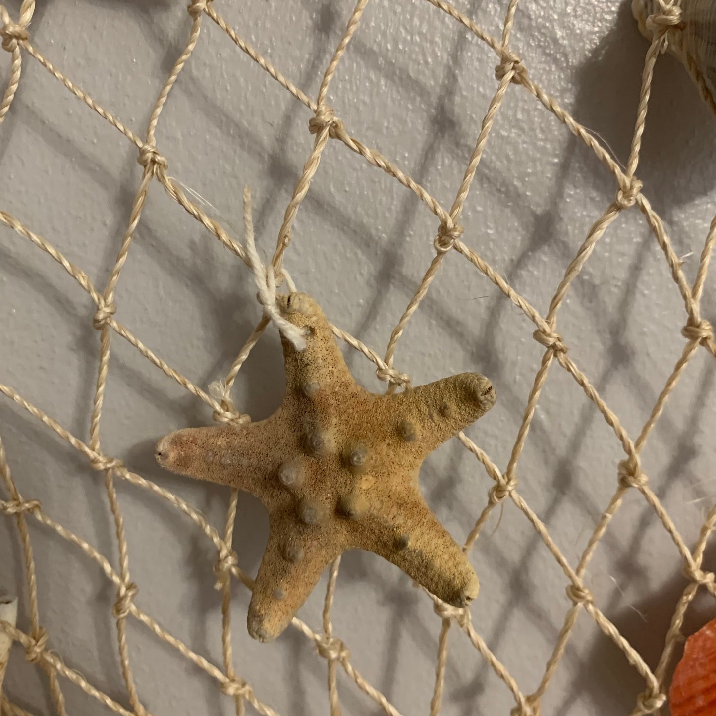 Natural Wood, Net Sea Shell Nautical Hanging Decorative Mobile.