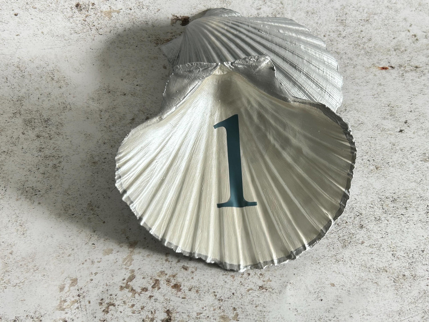 Scallop Shell Custom Wedding Table Numbers or Signs