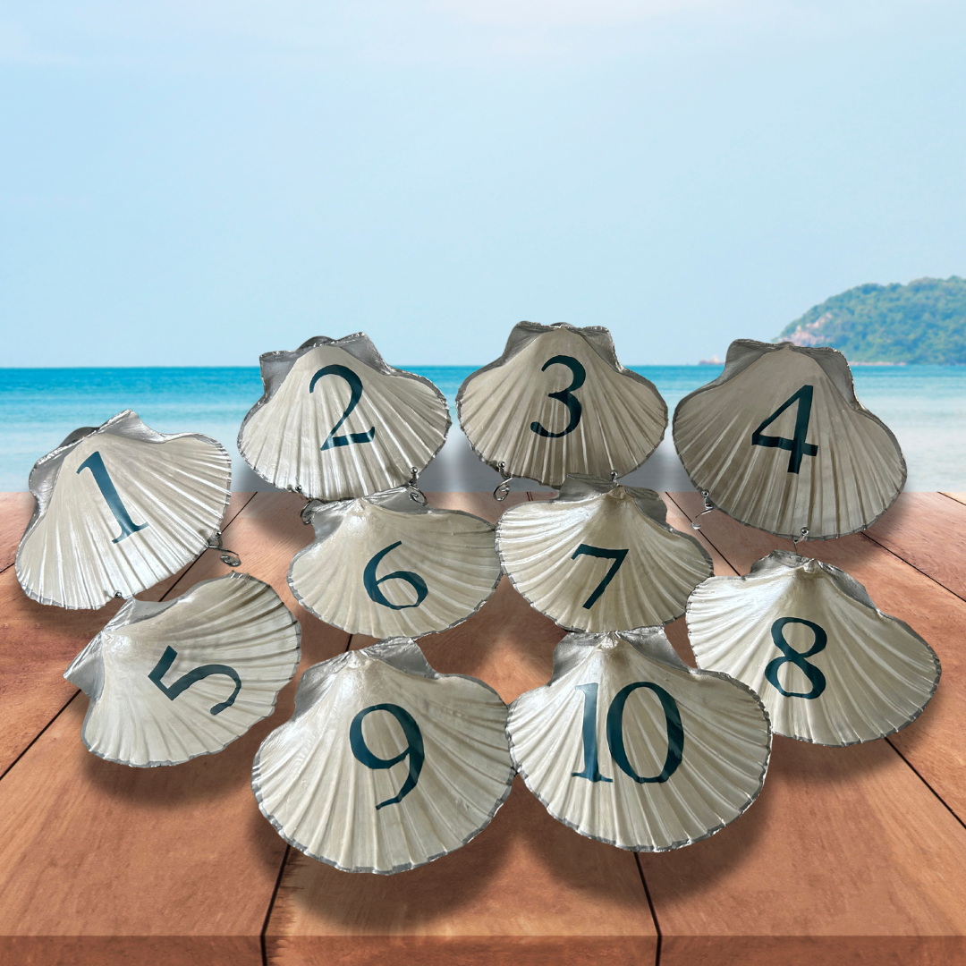 Scallop Shell Custom Wedding Table Numbers or Signs