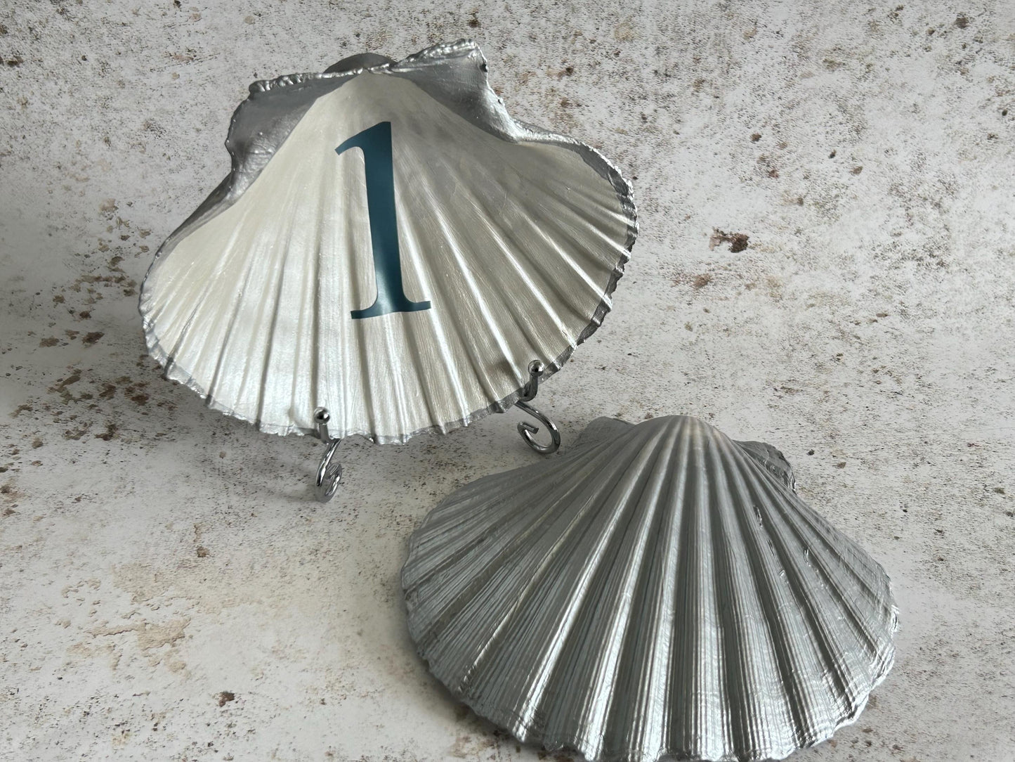 Scallop Shell Custom Wedding Table Numbers or Signs