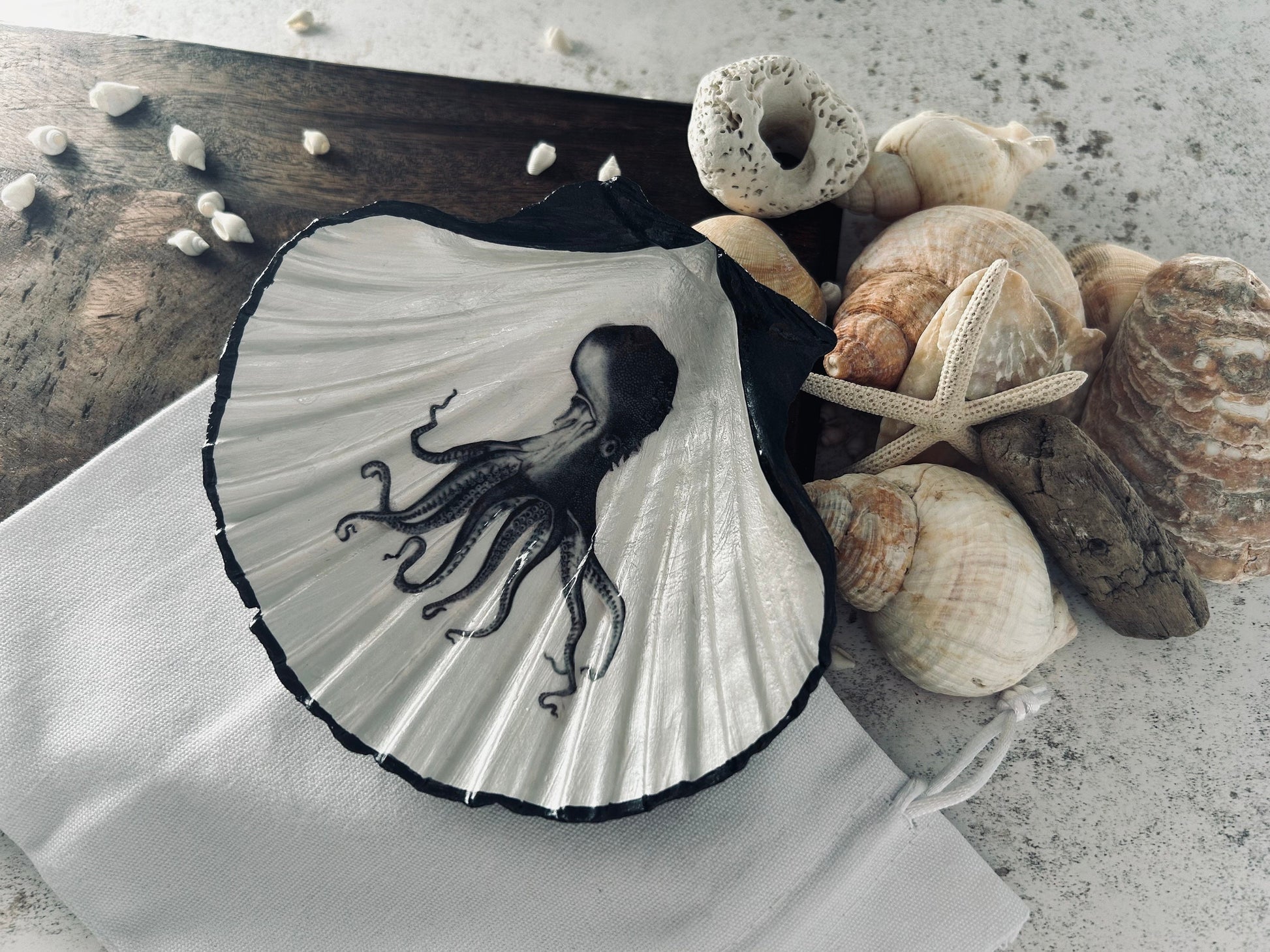 Black vintage Octopus scallop shell dish. Desk tidy to hold cufflinks, coins or trinkets. Unique Gift for him or her. Octopi home accent.