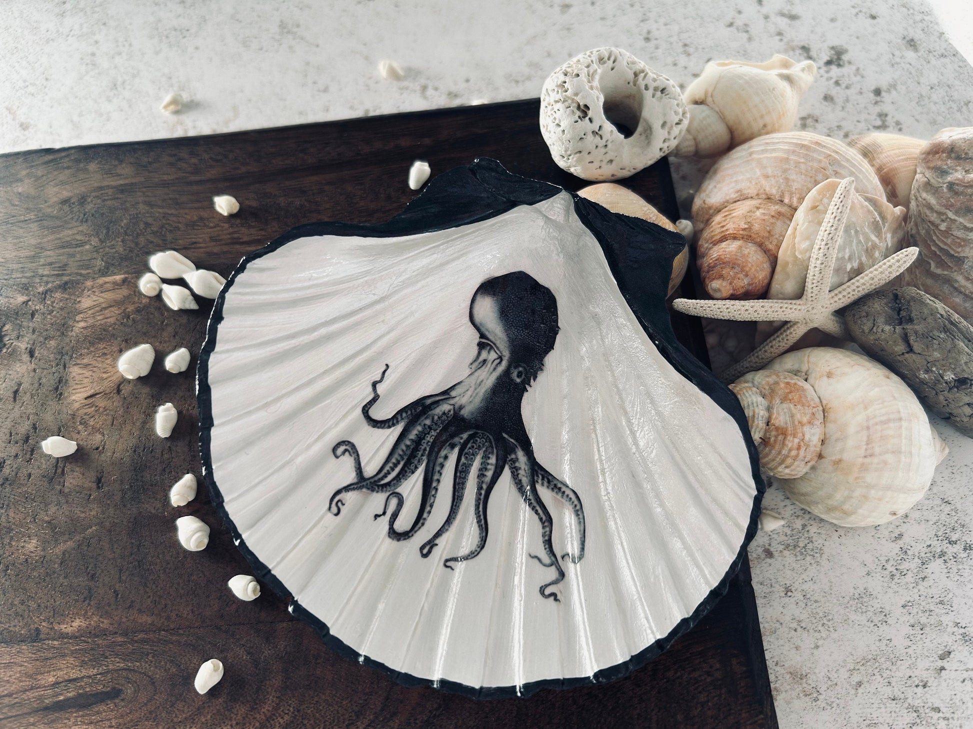Black vintage Octopus scallop shell dish. Desk tidy to hold cufflinks, coins or trinkets. Unique Gift for him or her. Octopi home accent.