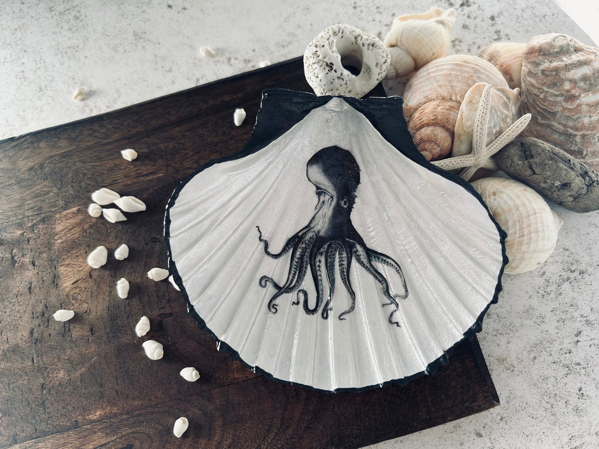 Black vintage Octopus scallop shell dish. Desk tidy to hold cufflinks, coins or trinkets. Unique Gift for him or her. Octopi home accent.