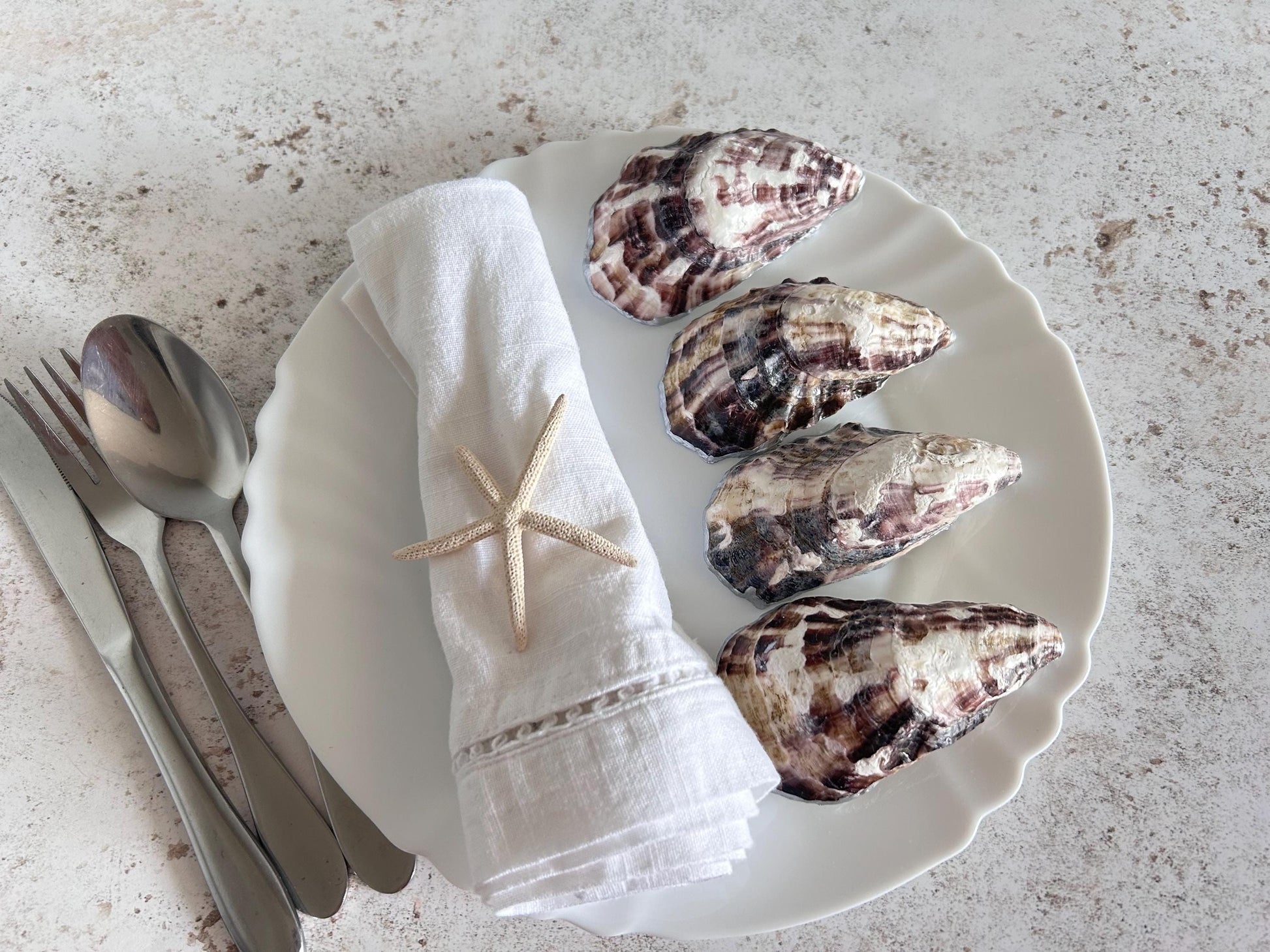 These shells are naturally dark brown and cream in the back.