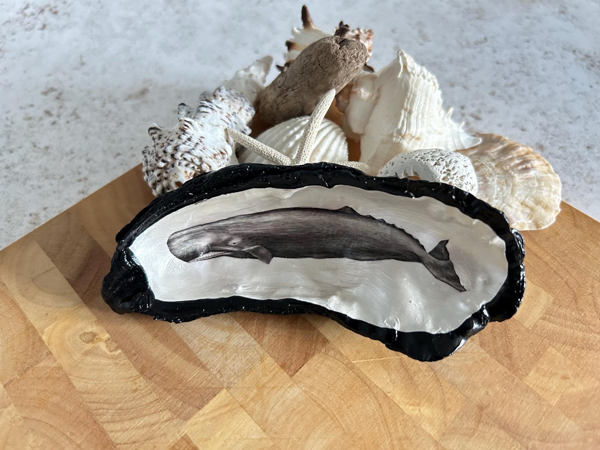 Black vintage whale oyster shell. Nautical black desk accessory. Home office dish tidy. Monochrome home decor gift for him.