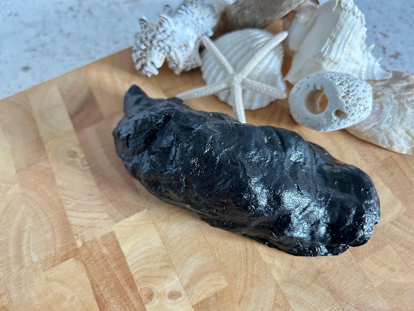 Black vintage whale oyster shell. Nautical black desk accessory. Home office dish tidy. Monochrome home decor gift for him.