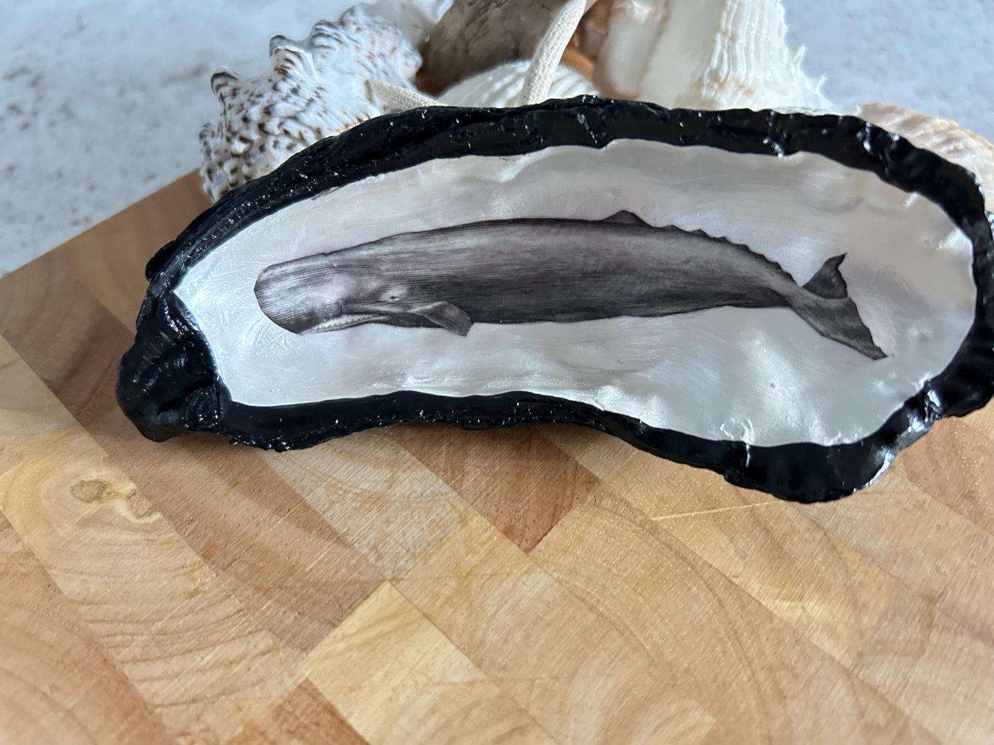 Black vintage whale oyster shell. Nautical black desk accessory. Home office dish tidy. Monochrome home decor gift for him.