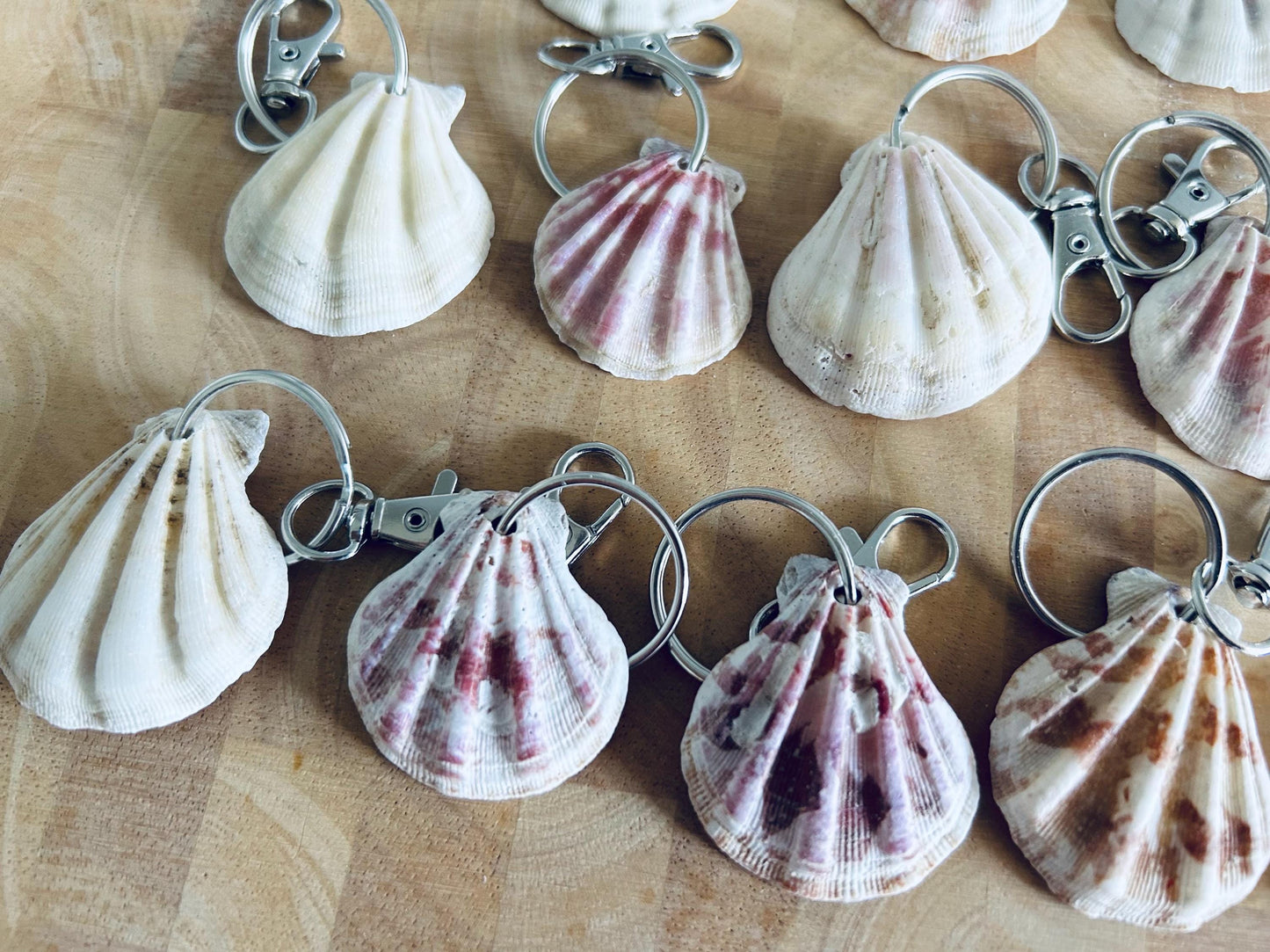 Scallop Shell Keyring or Bag Charm. Beach Wedding Favor, Party Bag Gift.