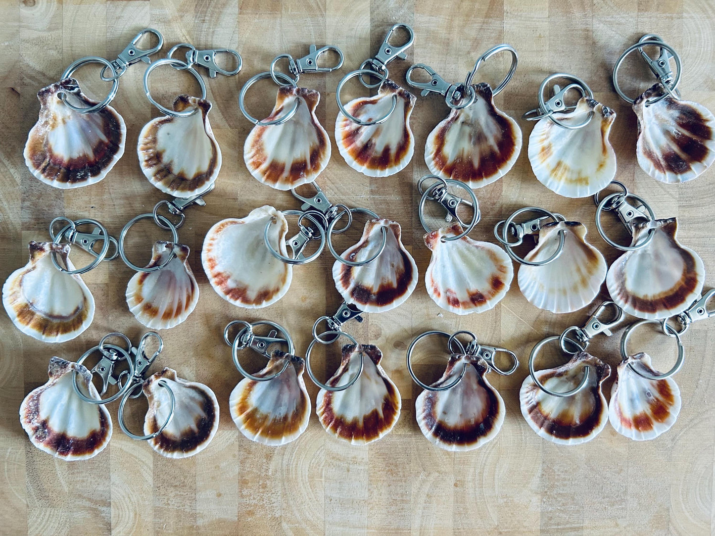Scallop Shell Keyring or Bag Charm. Beach Wedding Favor, Party Bag Gift.