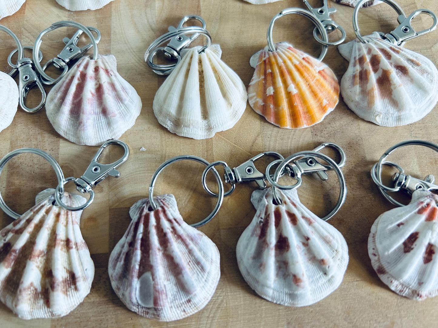 Scallop Shell Keyring or Bag Charm. Beach Wedding Favor, Party Bag Gift.