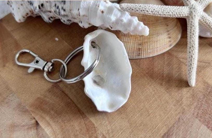 Oyster Shell Keychain.  Natural Beach Bag Charm, Coastal Keyring favour.