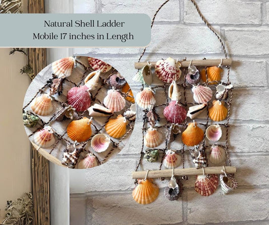 Sea Shell Net Ladder Hanging Decor: Coastal Wall Art for Home or Garden.