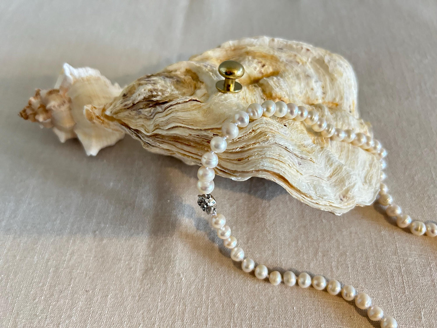 Natural Oyster Shell Jewelley Box. Coastal Home Decor Gift. Large Seashell Trinket Holder.