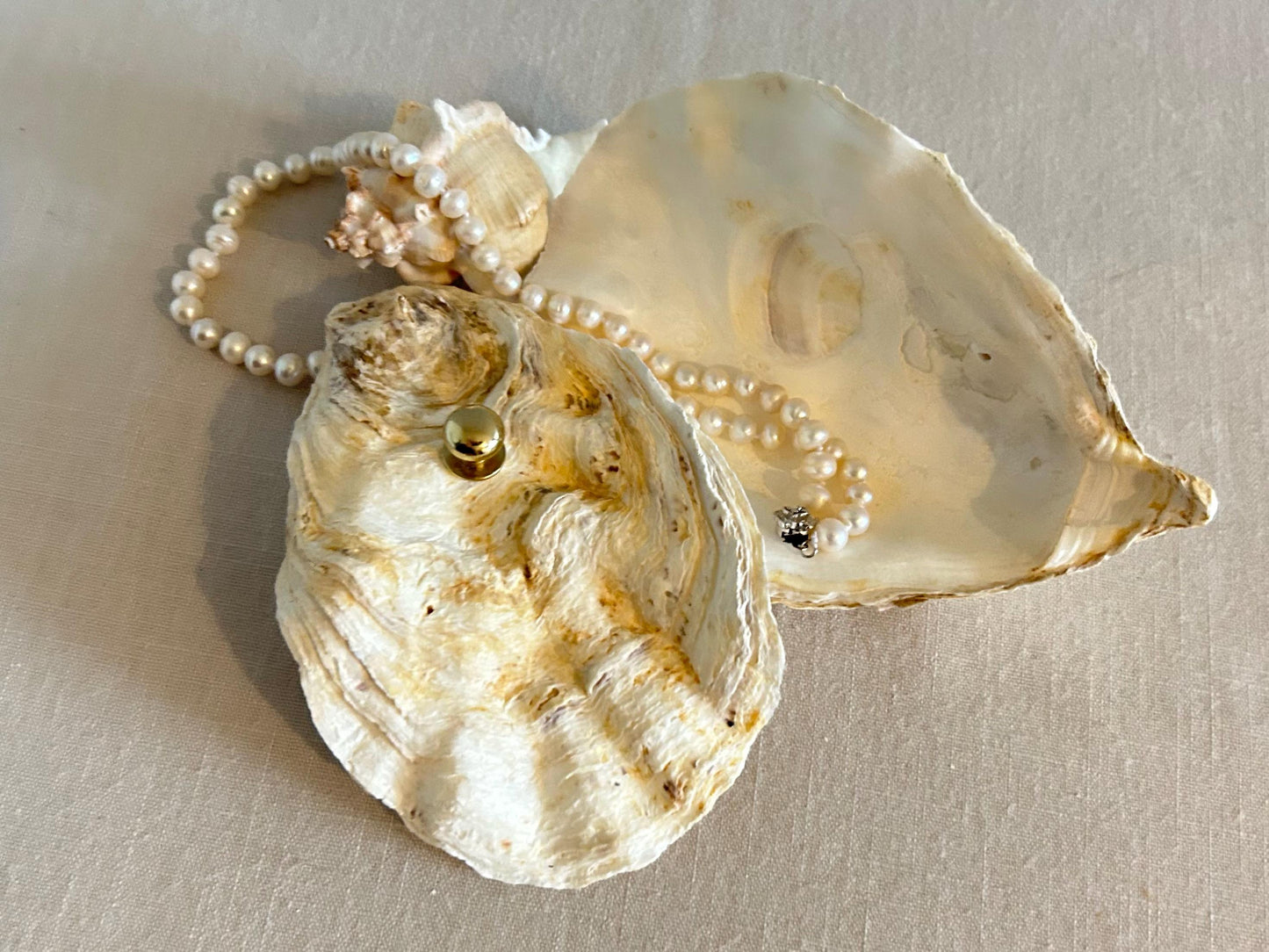 Natural Oyster Shell Jewelley Box. Coastal Home Decor Gift. Large Seashell Trinket Holder.