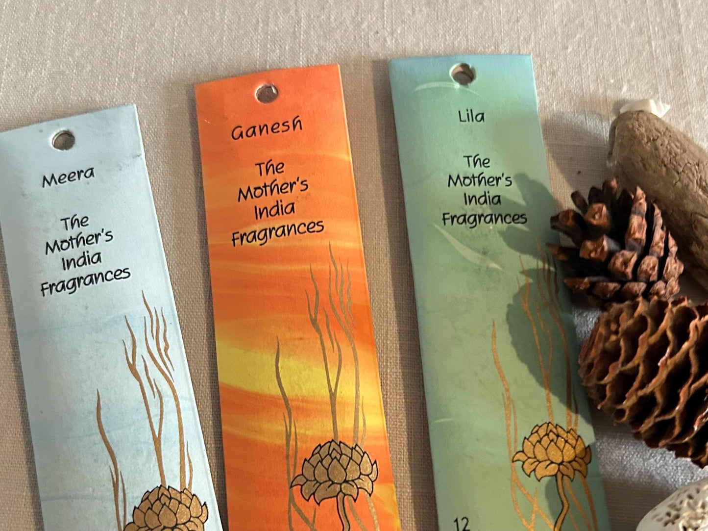 Gold Oyster Shell Incense Burner. Sea Shell Decorative Holder for Home.