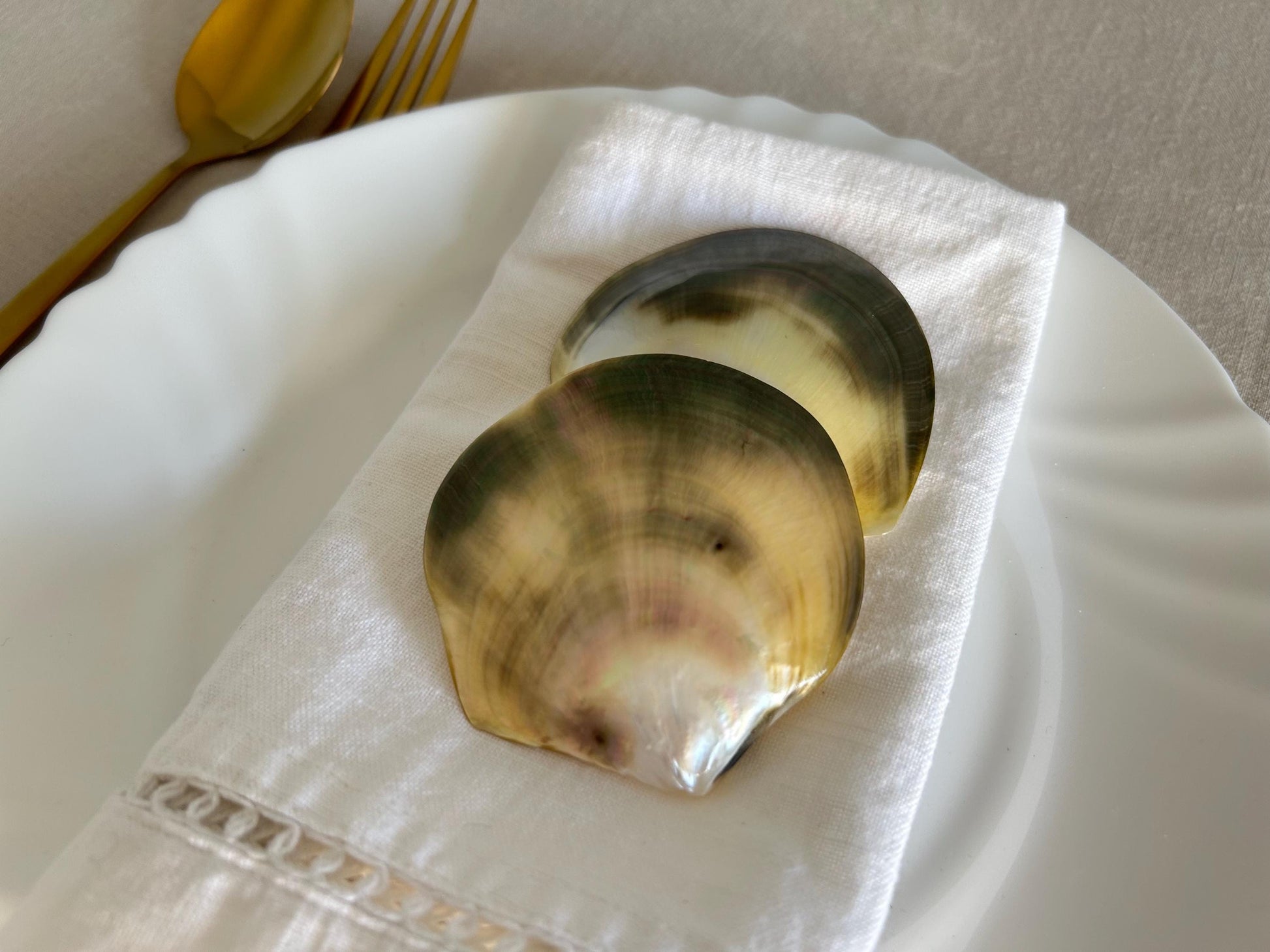 Two decorative, iridescent seashells rest on a white linen napkin, placed on a white plate. The underside of the shells have a mix of green, yellow, and brown hues.