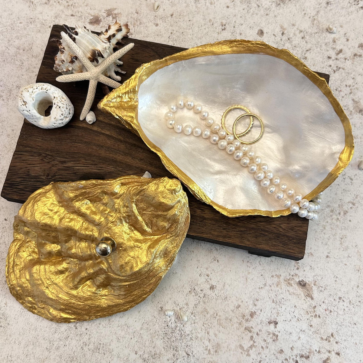 Gold Oyster Shell Jewellery Box with Silver Handle. Large Seashell Coastal Home Decor.