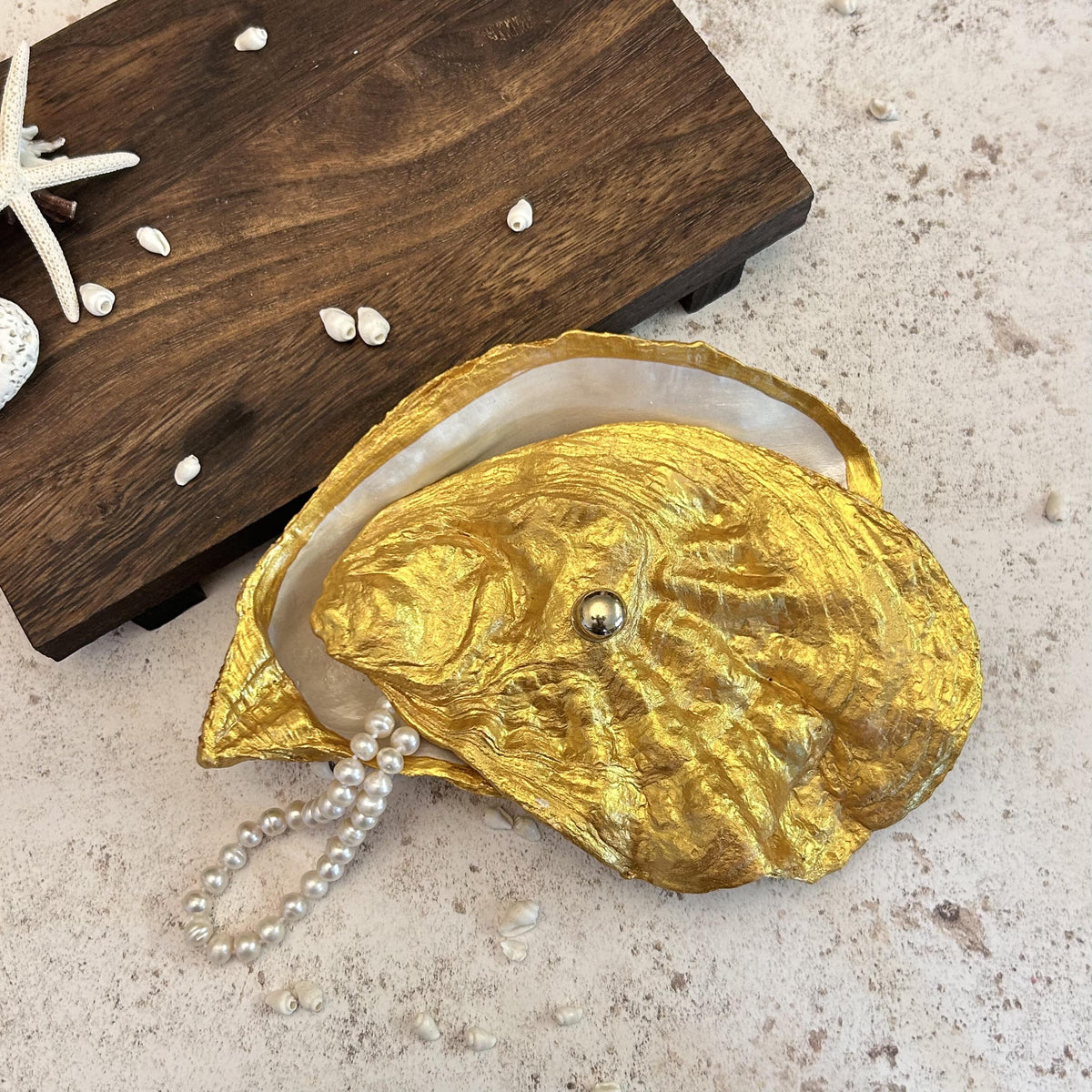 Gold Oyster Shell Jewellery Box with Silver Handle. Large Seashell Coastal Home Decor.