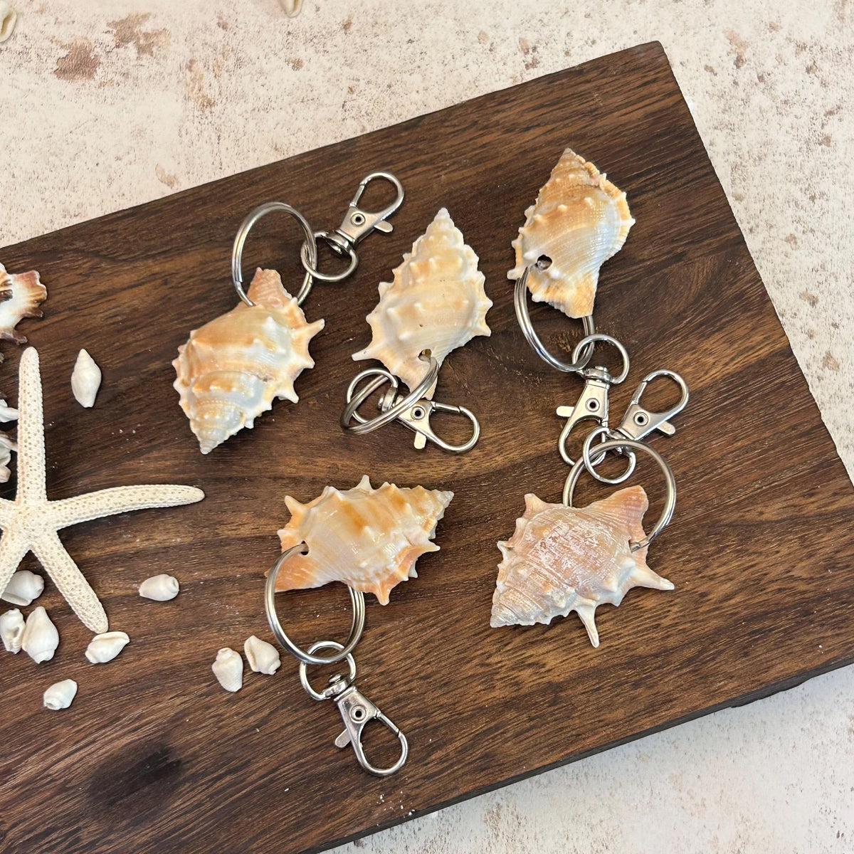 Murex Shell Keyring Wedding Favour. Seashell Keychain. Beach Wedding Guest Gift. Coastal Keepsake.