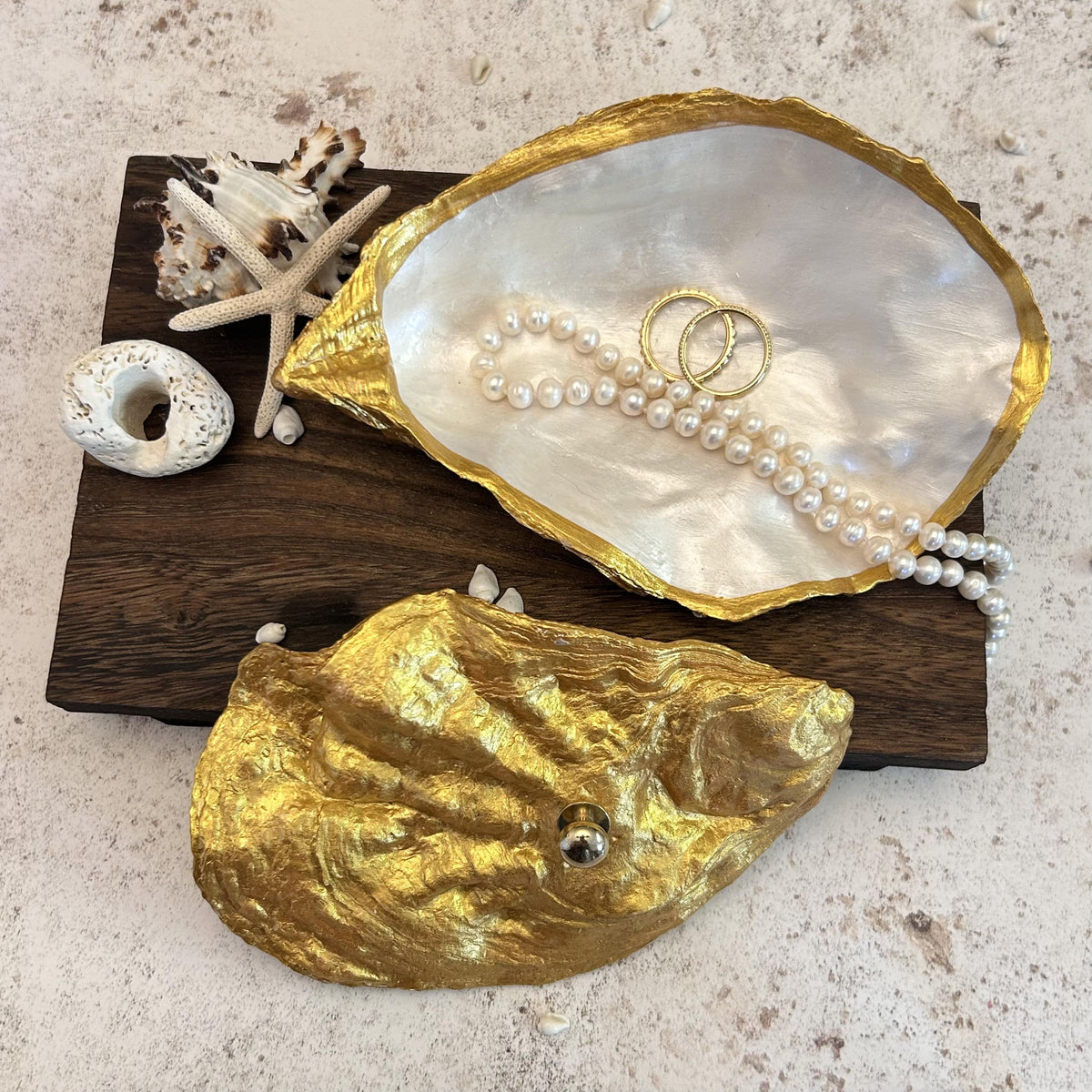 Gold Oyster Shell Jewellery Box with Silver Handle. Large Seashell Coastal Home Decor.