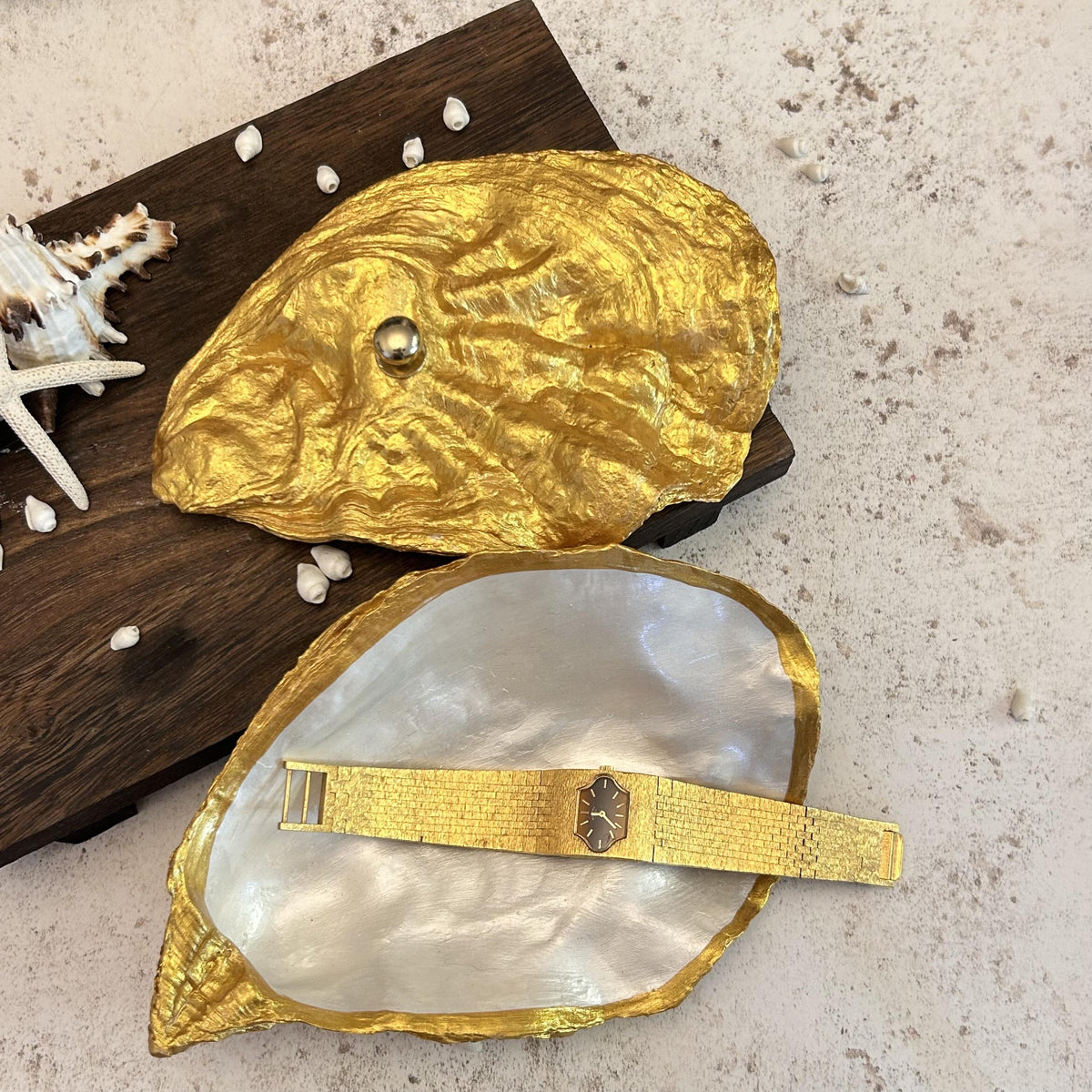 Gold Oyster Shell Jewellery Box with Silver Handle. Large Seashell Coastal Home Decor.