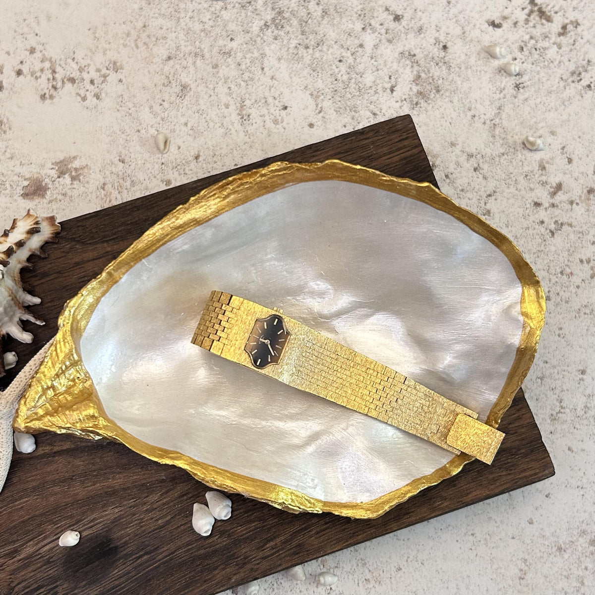 Gold Oyster Shell Jewellery Box with Silver Handle. Large Seashell Coastal Home Decor.