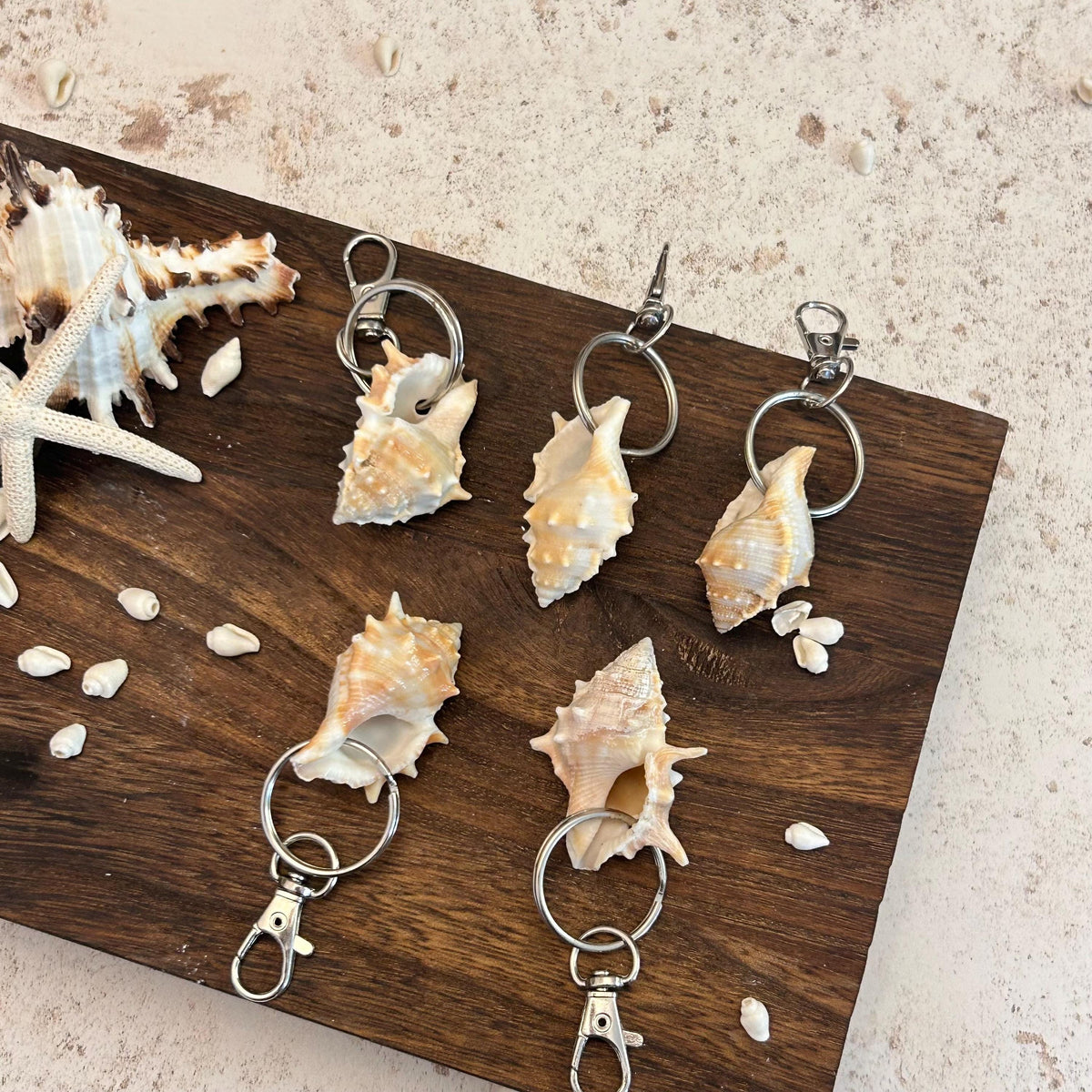 Murex Shell Keyring Wedding Favour. Seashell Keychain. Beach Wedding Guest Gift. Coastal Keepsake.
