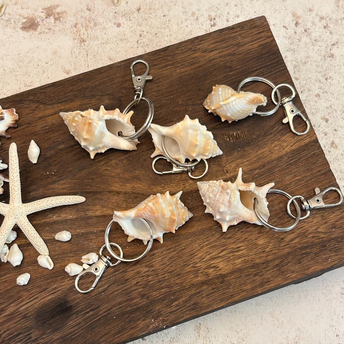 Murex Shell Keyring Wedding Favour. Seashell Keychain. Beach Wedding Guest Gift. Coastal Keepsake.