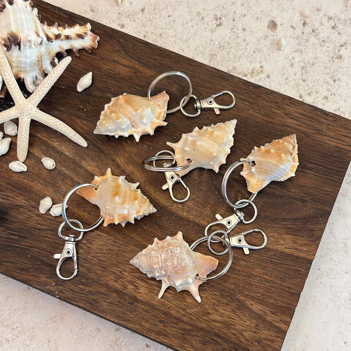 Murex Shell Keyring Wedding Favour. Seashell Keychain. Beach Wedding Guest Gift. Coastal Keepsake.