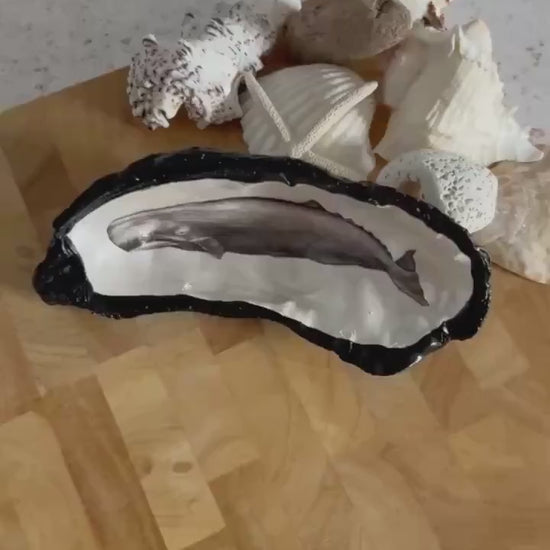 Black vintage whale oyster shell. Nautical black desk accessory. Home office dish tidy. Monochrome home decor gift for him.