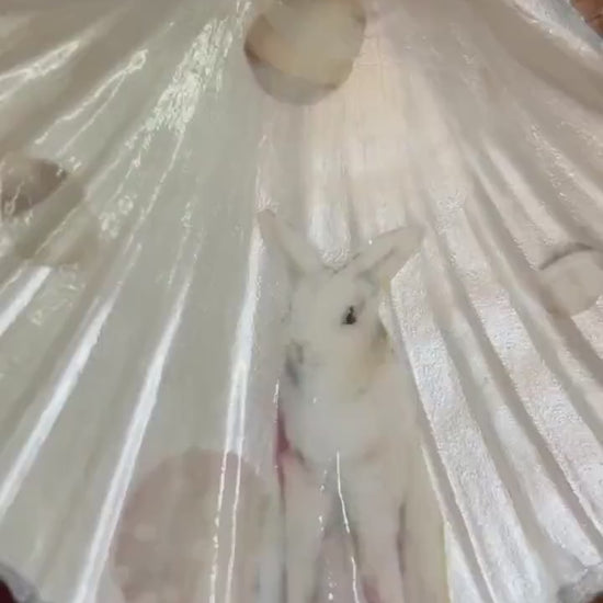 Easter Bunny Scallop Shell Trinket Dish. Mini Egg Holder. Silver and Grey Easter Home Decor Gift. Rabbit lovers Easter gift.