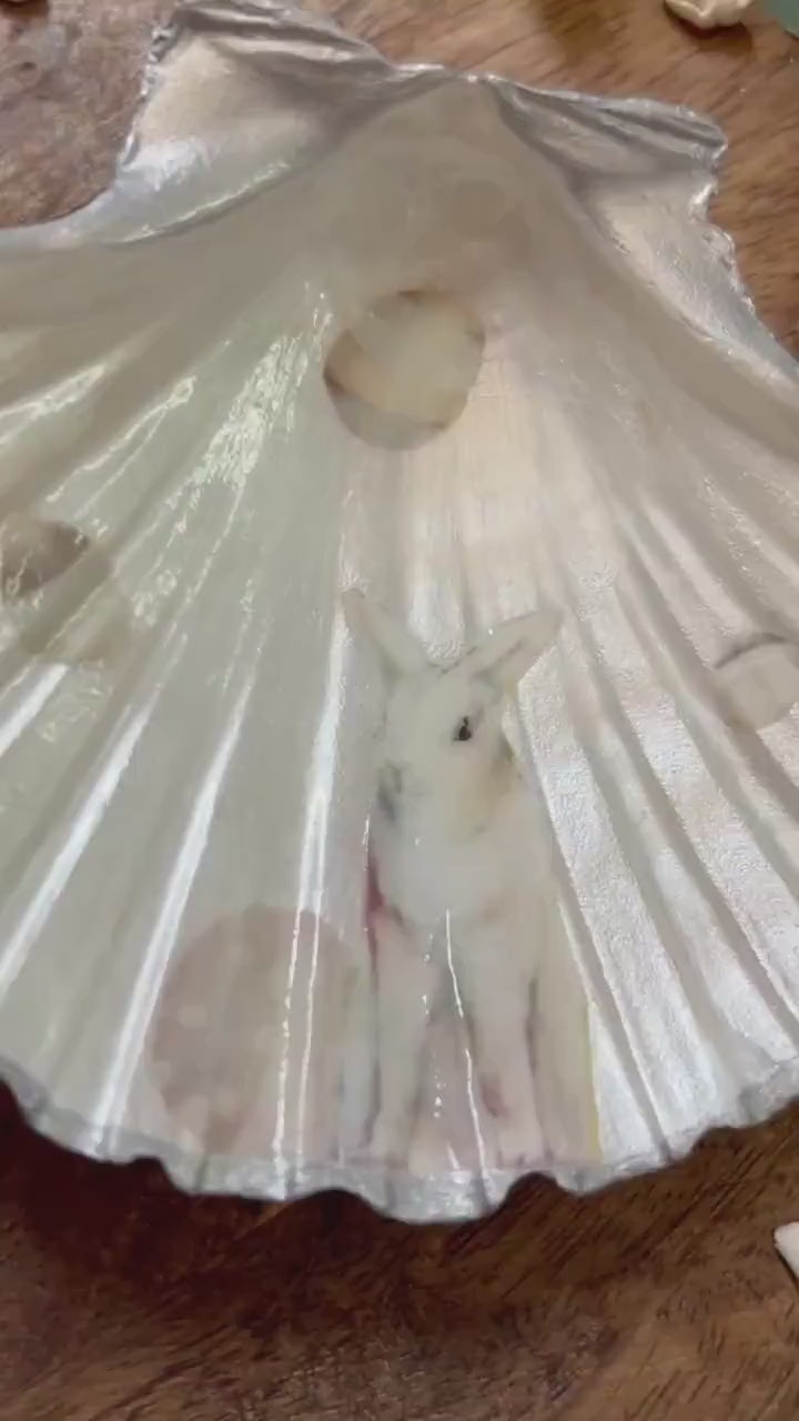 Easter Bunny Scallop Shell Trinket Dish. Mini Egg Holder. Silver and Grey Easter Home Decor Gift. Rabbit lovers Easter gift.