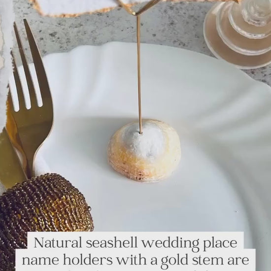 Personalised shell name cards. Seashell name card holder. Gold edged hand torn place names. Destination wedding shell guest name and favor.