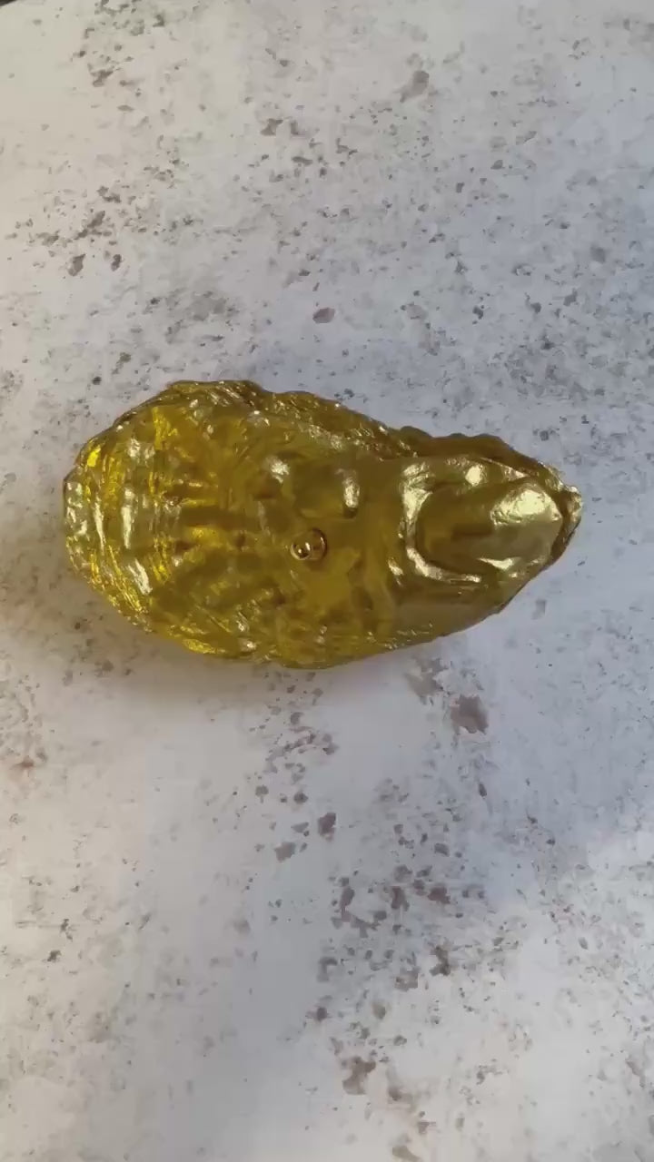 Gold natural oyster shell jewellery box. Seashell trinket box. Jewellery organiser for her. Golden wedding anniversary gift for wife.